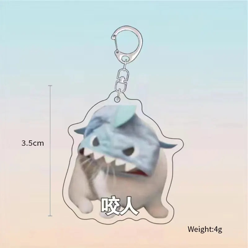 Purr-fectly Imperfect: The 'Cats in Compromising Shapes' Keychain meme Collection (Single keychain)