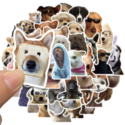 Furry Friends Meme Sticker Pack - Dogs & Cats Edition