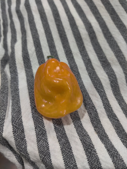 Fresh Homegrown Habanero Peppers – Pack of 5