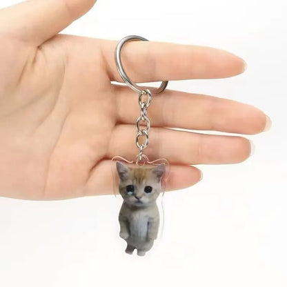 Purr-fectly Imperfect: The 'Cats in Compromising Shapes' Keychain Collection (Single keychain)