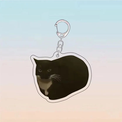 Purr-fectly Imperfect: The 'Cats in Compromising Shapes' Keychain Collection (Single keychain)